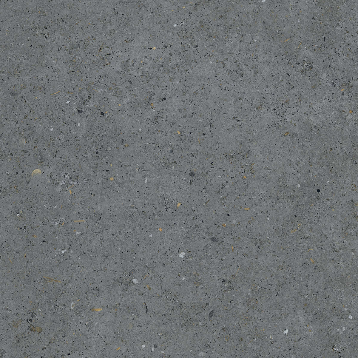 CERAM STYLE DARK GREY  80x80x2 CM